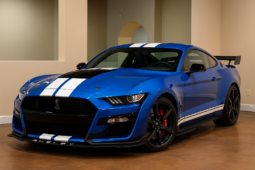 
										2021 Ford Mustang Shelby GT500 full									
