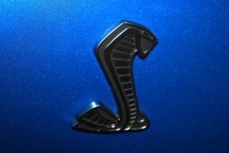 
										2021 Ford Mustang Shelby GT500 full									