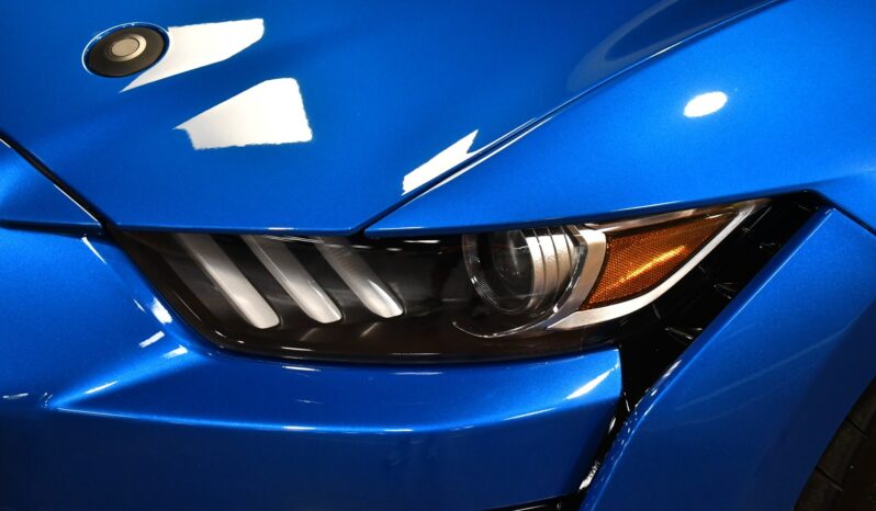 
								2021 Ford Mustang Shelby GT500 full									