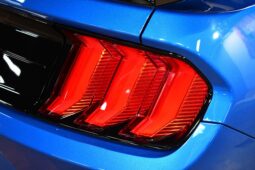 
										2021 Ford Mustang Shelby GT500 full									