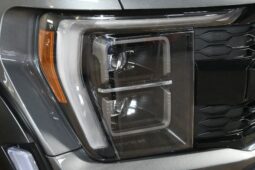 
										2023 Ford F-150 Raptor R full									