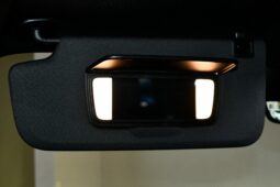 
										2025 GMC Sierra 1500 AT4 full									