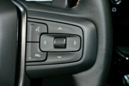 
										2025 GMC Sierra 1500 AT4 full									